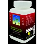 TCM Herbs Nápoj pěti hvězd z Gynostemmy pětilisté 100 g – Hledejceny.cz