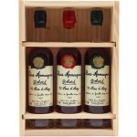 Armagnac-Delord 10 20 30 Ans 40% 3 x 0,2 l (set) – Zbozi.Blesk.cz