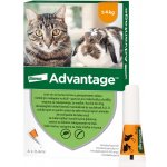 Advantage Spot-on pro malé kočky a králíky 40 mg 4 x 0,4 ml – Hledejceny.cz
