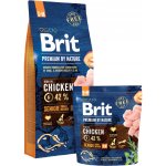 Brit Premium by Nature Senior S-M Chicken 8 kg – Sleviste.cz