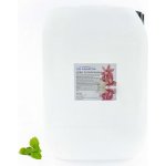 PM Aqualog esence do parních kabin pačuli 865-010/D 10 l – Hledejceny.cz