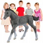 Schleich Trakénské hříbě 13944 – Hledejceny.cz