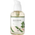 Round Lab Mugwort Calming Toner 300 ml – Zbozi.Blesk.cz