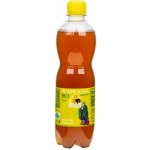 Stevikom Kombucha bancha citron bio 0,5 l – Zboží Dáma