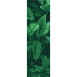 BOHEMIA SPORT listy – Hledejceny.cz