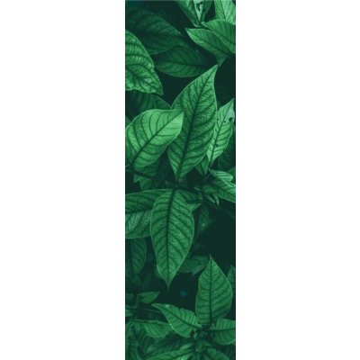 BOHEMIA SPORT listy – Hledejceny.cz