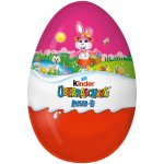 Ferrero Kinder Surprise Maxi 220 g – Zboží Dáma