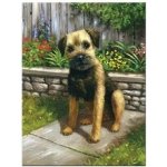 Malování podle čísel Štěně černý čumáček – Zboží Dáma