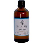 Gai SPa Éterický olej DIVOKÁ MÁTA Wild Mint 100 ml – Hledejceny.cz