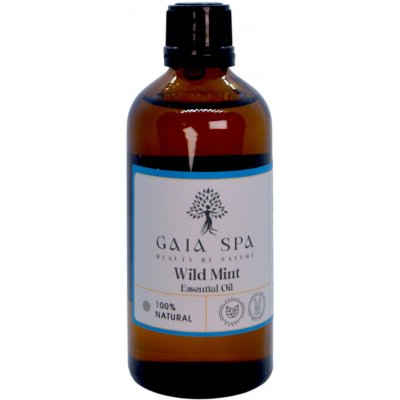 Gai SPa Éterický olej DIVOKÁ MÁTA Wild Mint 100 ml – Hledejceny.cz