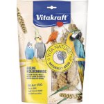 Vitakraft Vita Nature Senegalské proso žluté klas 0,3 kg – Zboží Mobilmania