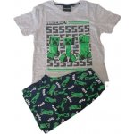 Chlapecké pyžamo Minecraft sivá – Zboží Dáma