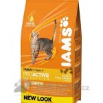 Iams ProActive Health Adult Original kuře 3 kg – Hledejceny.cz