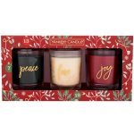 Yankee Candle Countdown to Christmas 3 x 226 g – Zbozi.Blesk.cz