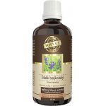 Green idea Šišák bajkalský kapky 50 ml – Hledejceny.cz