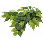 Repti Zoo Fíkus 40 cm – Zboží Dáma Repti Zoo Fíkus 40 cm – Zboží Dáma