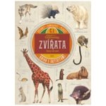 Afrika - jazykový průvodce egyptská arabština, svahilština, afrikánština, amhar – Hledejceny.cz