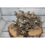 Autronic Eukalyptus Barva: Šampaň – Hledejceny.cz