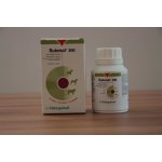 Rubenal - dietní přípravek 300mg 60 tbl – Hledejceny.cz