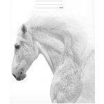 MFP Paper školní sešit A4 444 – Sleviste.cz