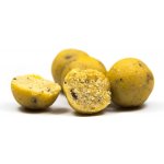 Munch Baits Boilies Cream Seed 1kg 14mm – Hledejceny.cz