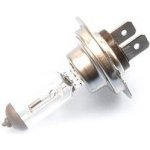Tesla H8 PGJ19-1 12V 35W – Hledejceny.cz