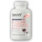 Ostrovit Choline + Inositol 300 mg 120 tablet – Hledejceny.cz