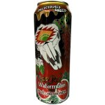 Arizona Spicy Watermelon with Mike's Hot Honey 0,65 l – Hledejceny.cz