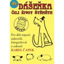 Dášeňka čili život štěněte - Karel Čapek