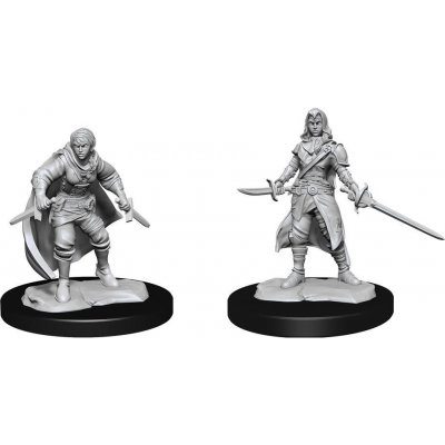 WizKids D&D Nolzur's Marvelous Miniatures: Half-Elf Rogue Female – Zboží Mobilmania