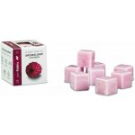 Rentex Vonný vosk kostičky Lesní malina 8 ks 30 g – Hledejceny.cz