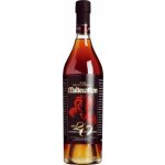 Malteco 20y 40% 0,7 l (karton) – Sleviste.cz