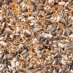 Deli Nature 30 Large Parakeets Basic 4 kg – Zbozi.Blesk.cz