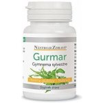 Nástroje Zdraví Gurmar-gymnema Sylvestre 60 kapslí – Hledejceny.cz