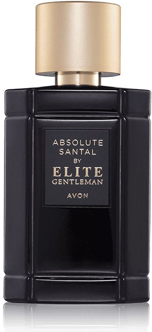 Avon Absolute Santal by Elite Gentleman toaletní voda pánská 50 ml