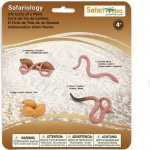 Safari Životní cyklus Žížala – Zbozi.Blesk.cz