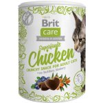 Brit Care Cat snack Superfruits Chicken rakytník a borůvka 100 g – Zbozi.Blesk.cz