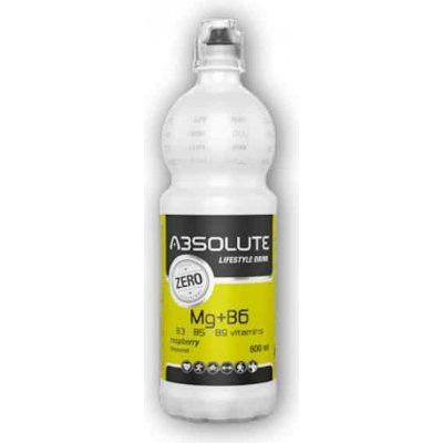 R-Water Absolute LifeStyle Magnesium nápoj malina 0,6 l – Zbozi.Blesk.cz