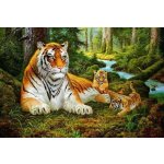Norimpex Diamantové malování Tygřice s mláďaty 30 x 40 cm – Hledejceny.cz