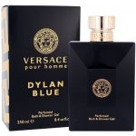 Versace Pour Homme Dylan Blue sprchový gel 250 ml – Hledejceny.cz