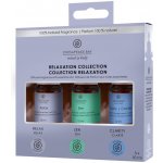 Chesapeake Bay Aroma olej Relaxation 3 × 10 ml – Hledejceny.cz