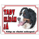 Stickers Výstražná plastová tabulka na plot Bérnský salašnický pes – Zbozi.Blesk.cz