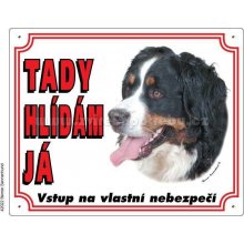 Stickers Výstražná plastová tabulka na plot Bérnský salašnický pes
