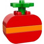 LEGO® DUPLO® 30068 Jablko – Zboží Živě