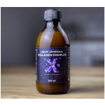 BrainMax Lipozomální Kolagen komplex 250 ml – Hledejceny.cz
