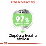 Royal Canin Maxi Digestive Care 3 kg – Hledejceny.cz