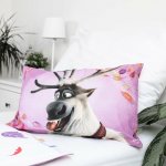 Jerry Fabrics Povlečení do postýlky Frozen 2 Wind 03 100 cm x 135 cm 40 x 60 cm – Sleviste.cz