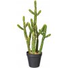 Květina Gasper Umělý kaktus Euphorbia, 45 cm
