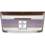 WoodWick Trilogy Amethyst Sky 453,6 g – Zboží Dáma