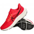 Nike Air Zoom Pegasus 39 dh4071-600